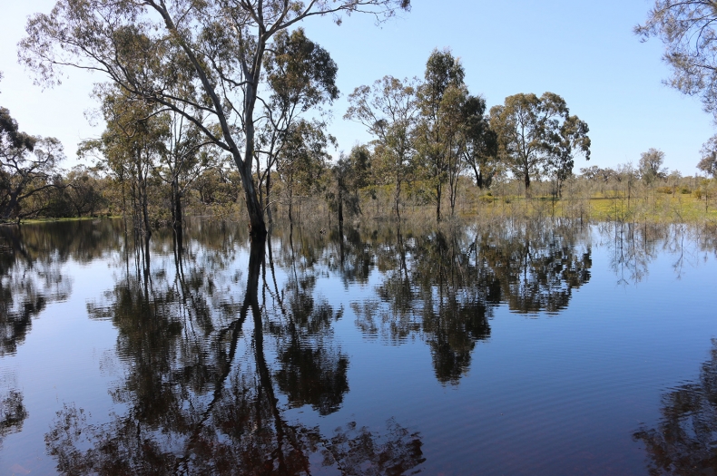 Bank Australia Conservation Reserve