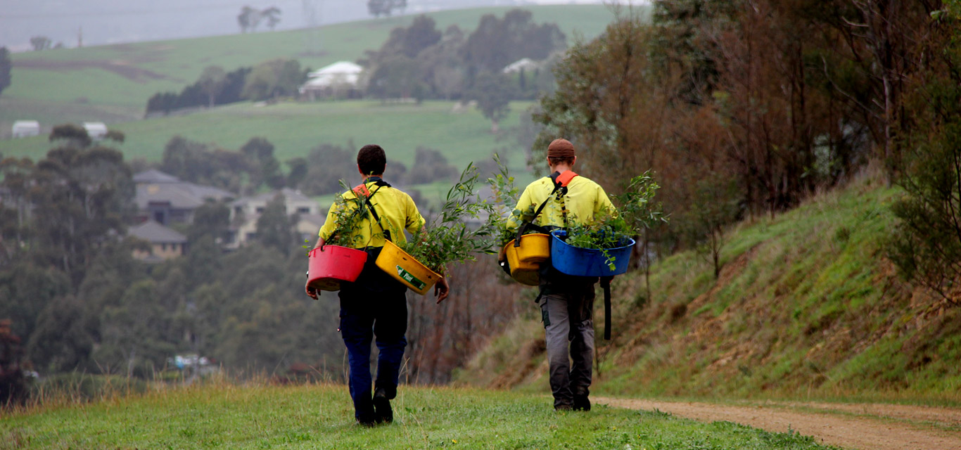20 Million Trees Greening Australia Greening Australia