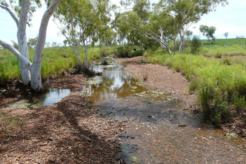 Creek system surrounded by tussock grasses on the Leramugadu Lease site