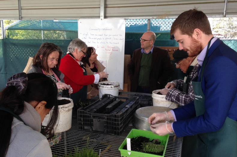 Bank Australia’s Adam Ceeney busy pricking out native seedlings with our Alzheimer’s Australia ACT group.