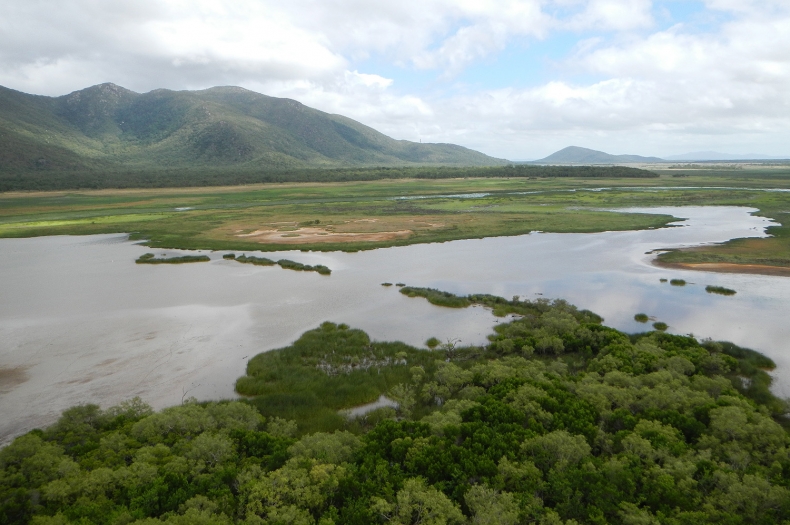 Wongaloo wetland complex, part of the Wongaloo Conservation Park adjoin the Bowling Green Bay National Park and Ramsar wetland site in the West Haughton.