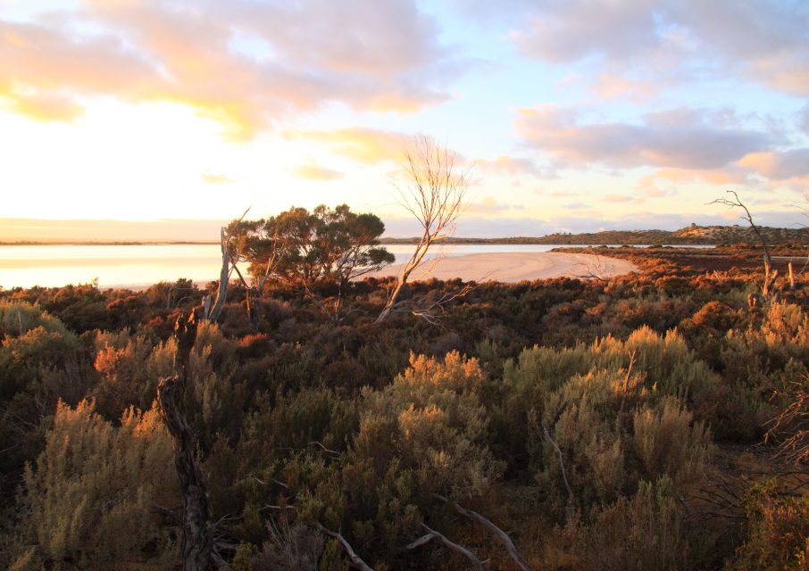 Lake Newland