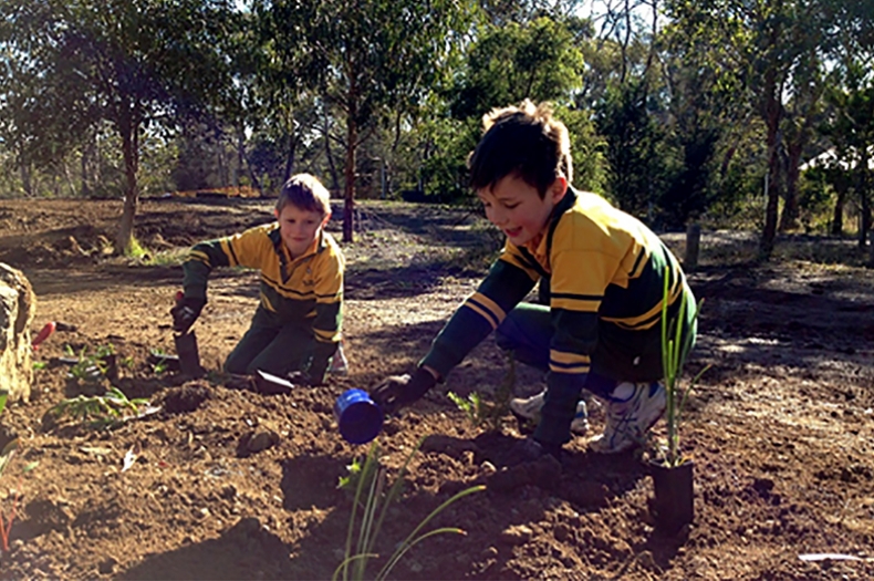 Students planting