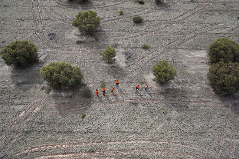 Nowanup Rangers stand alongside the tractor lines which mark out the planting area. Photo: Peter Banyard, Airborne Mapping & Photography Services.