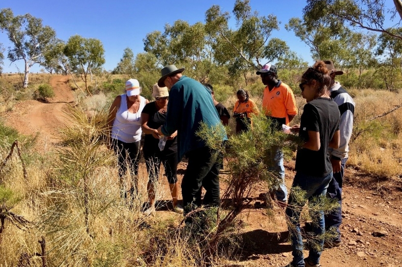 Ngurrawaana Rangers participating in Greening Australia seed training.