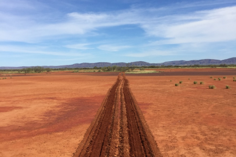 The first line of direct seeding on the degraded clay pan system at Mulga Downs