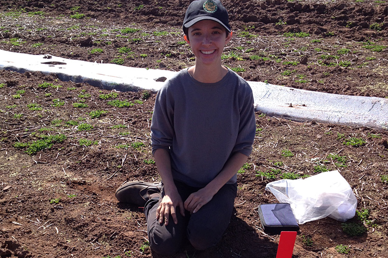 Honours student, Yolanda Hanusch, monitoring seed predation by insects.