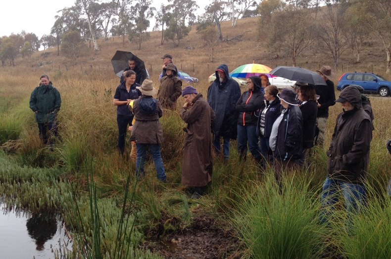 Workshop participants visiting the Breadalbane wetland.