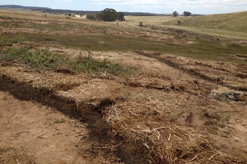 The erosion work that Margie Fitzpatrick has done on her property near Collector. Biscuits of hay were laid down on the contour to slow the flow of water across the bare surface whilst rocks were used to stop the rill erosion.
