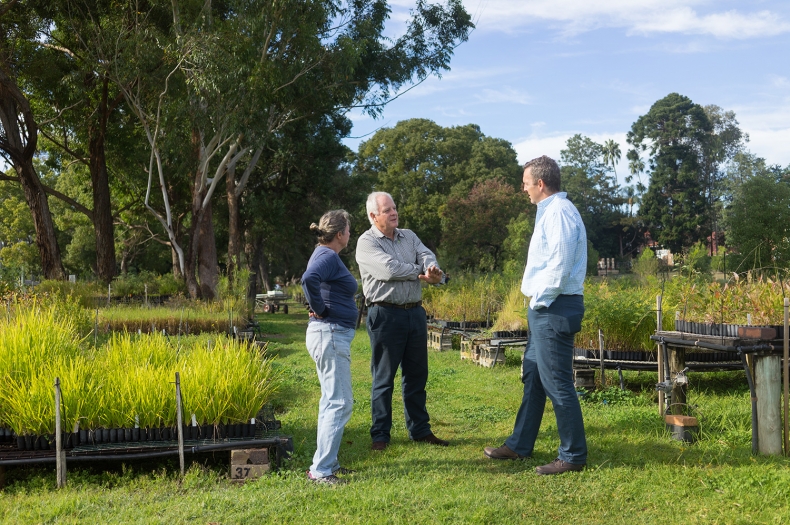 Richmond Nursery owned by Greening Australia.