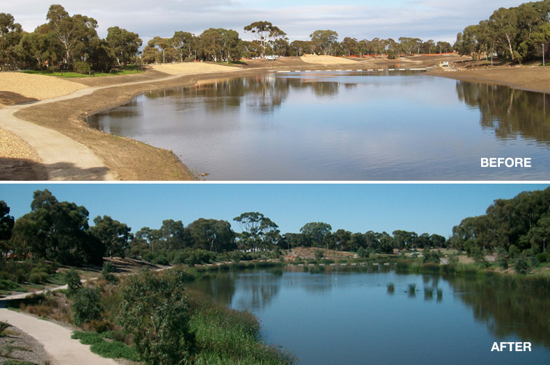 A section of the River Torrens before revegetation work began in 2009 and after restoration in 2012.