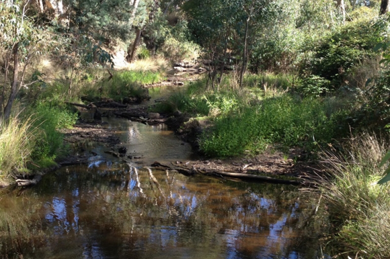 A messy and complex river, restored by planting a mix of grasses, shrubs and trees and letting nature do the rest.  Photo Haydn Burgess.