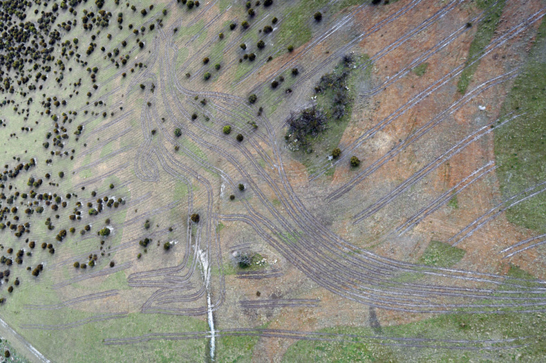 Tractor lines marking out the 200m long kangaroo at Peniup which will be hand planted. Photo: Peter Banyard, Airborne Mapping & Photography Services.