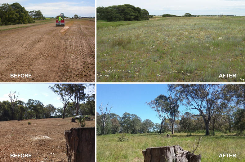Grassland restoration at Wickliffe Plains (top) and Camden (bottom)