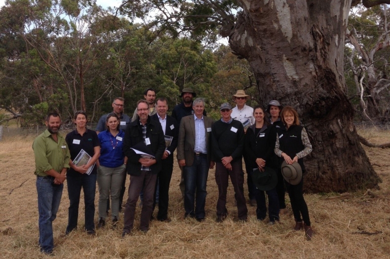 Participants at the launch in front of an iconic River Red Gum at Inverleigh, Victoria (photo Candice Parker – Greening Australia)