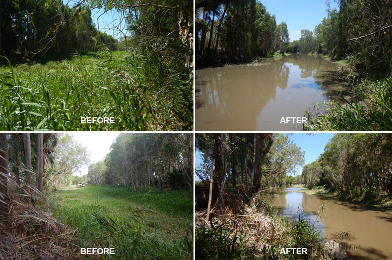 Two sites in Crooked Waterhole before intervention (left) showing dense stands of Olive hymenachne and other weed species covering the water and after intervention (right) with open water.