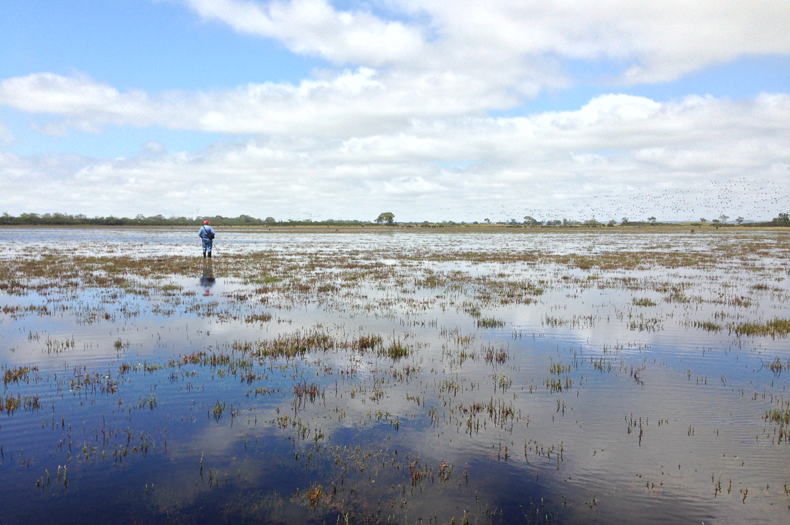 Gippsland Lakes