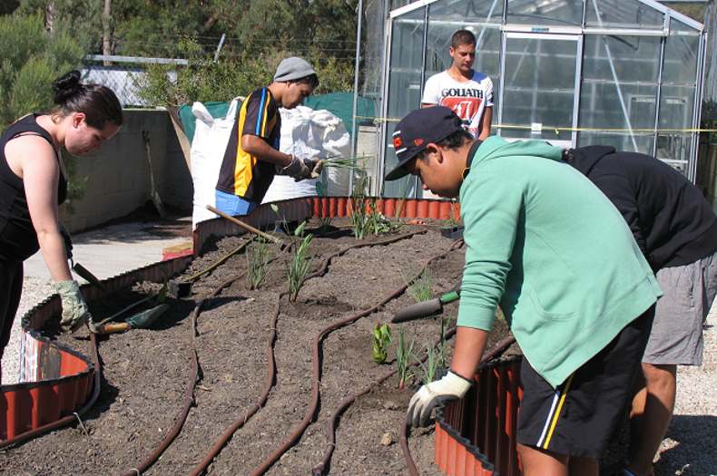 Bush tucker garden