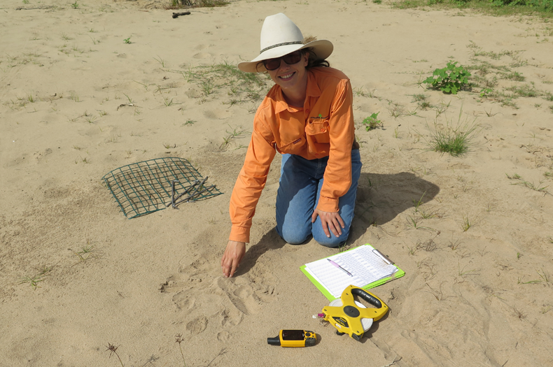 Kymberly recording data at a nesting site. Copyright Kymberly Robinson.