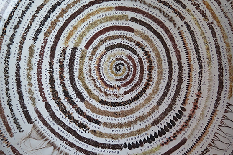Mandala of Tasmanian seeds