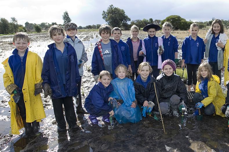 Students planting seedlings