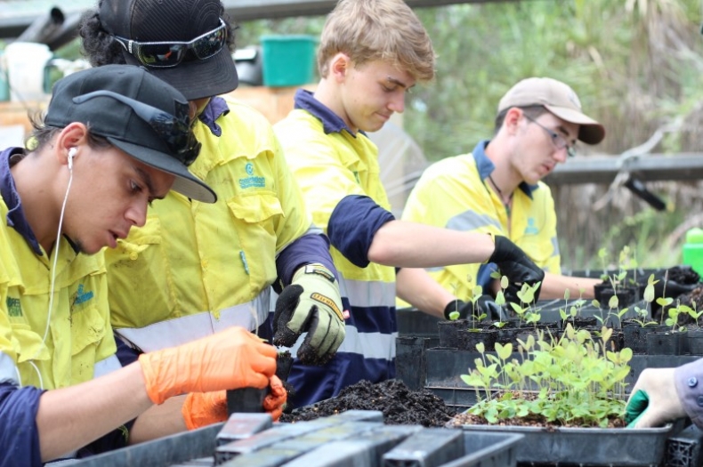 The Green Army team potting the seedlings that will create new homes for native tree-rats.