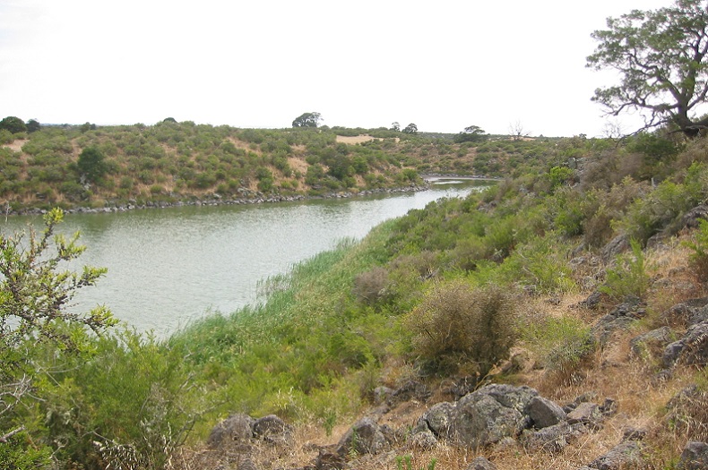 Stony Knoll Shrublands