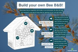 Build your own Bee B&B