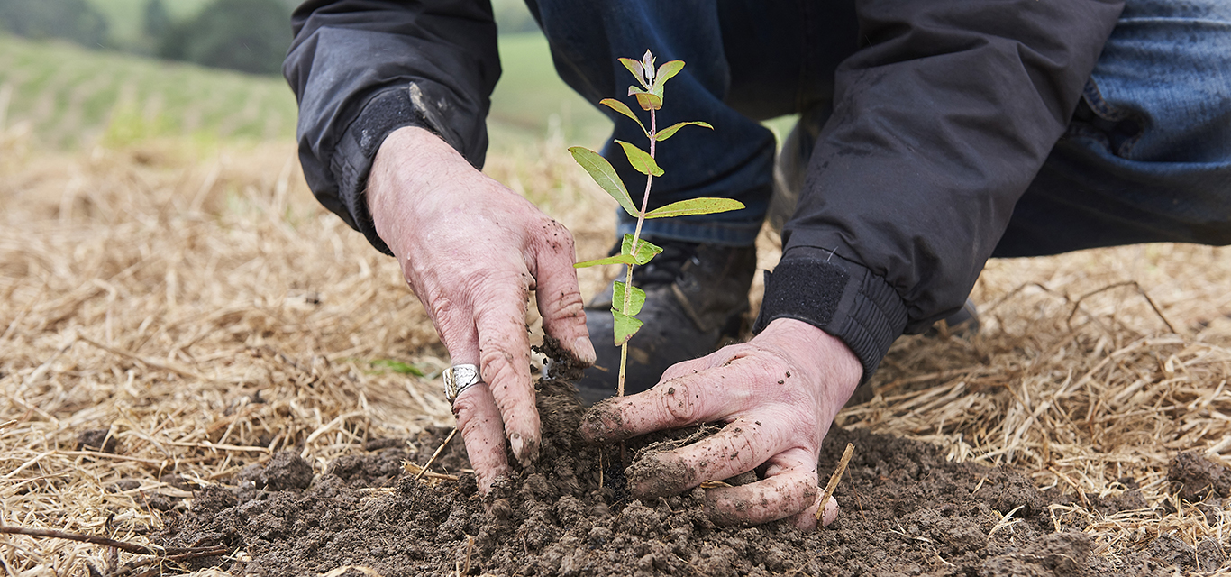 Climate Proofing Australia Alliance