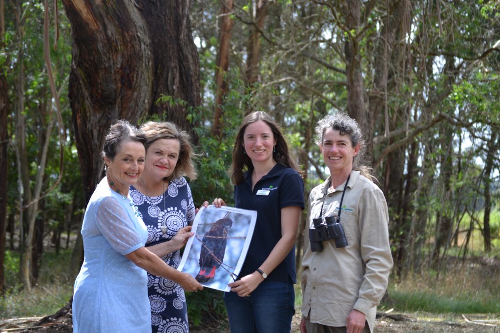 Greening Australia staff share picture of Glossy Black-Cockatoo with Member for Goulburn Pru Goward and Liberal Candidate for Goulburn Wendy Tuckerman in local woodland