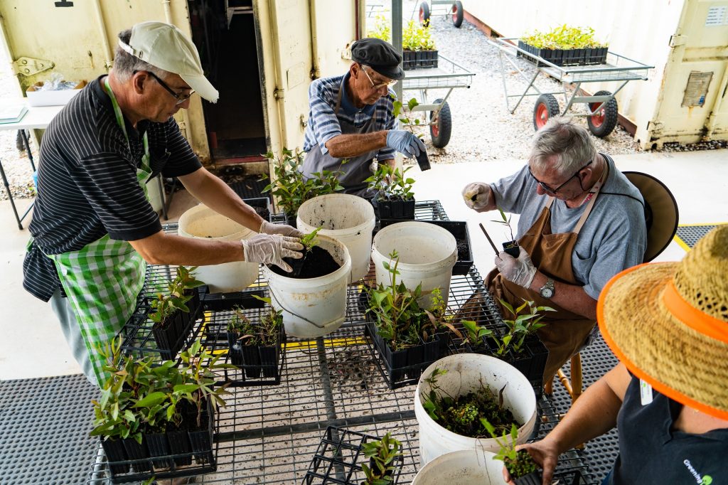 men and women volunteering in seed nursery