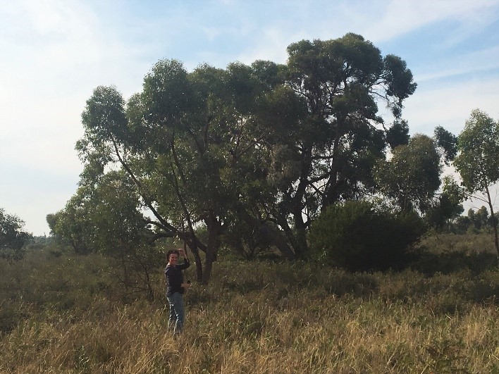 Greening Australia Senior Ecologist Jess Gardner