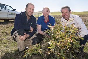 Greening Australia and Officeworks staff members pose with local landholder Julian von Bibra and a two-year-old seedling