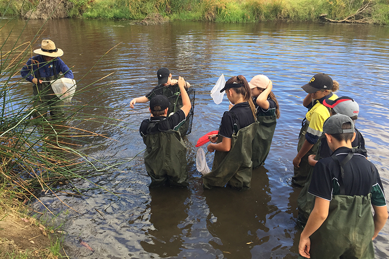 Students wade in a river holding small nets