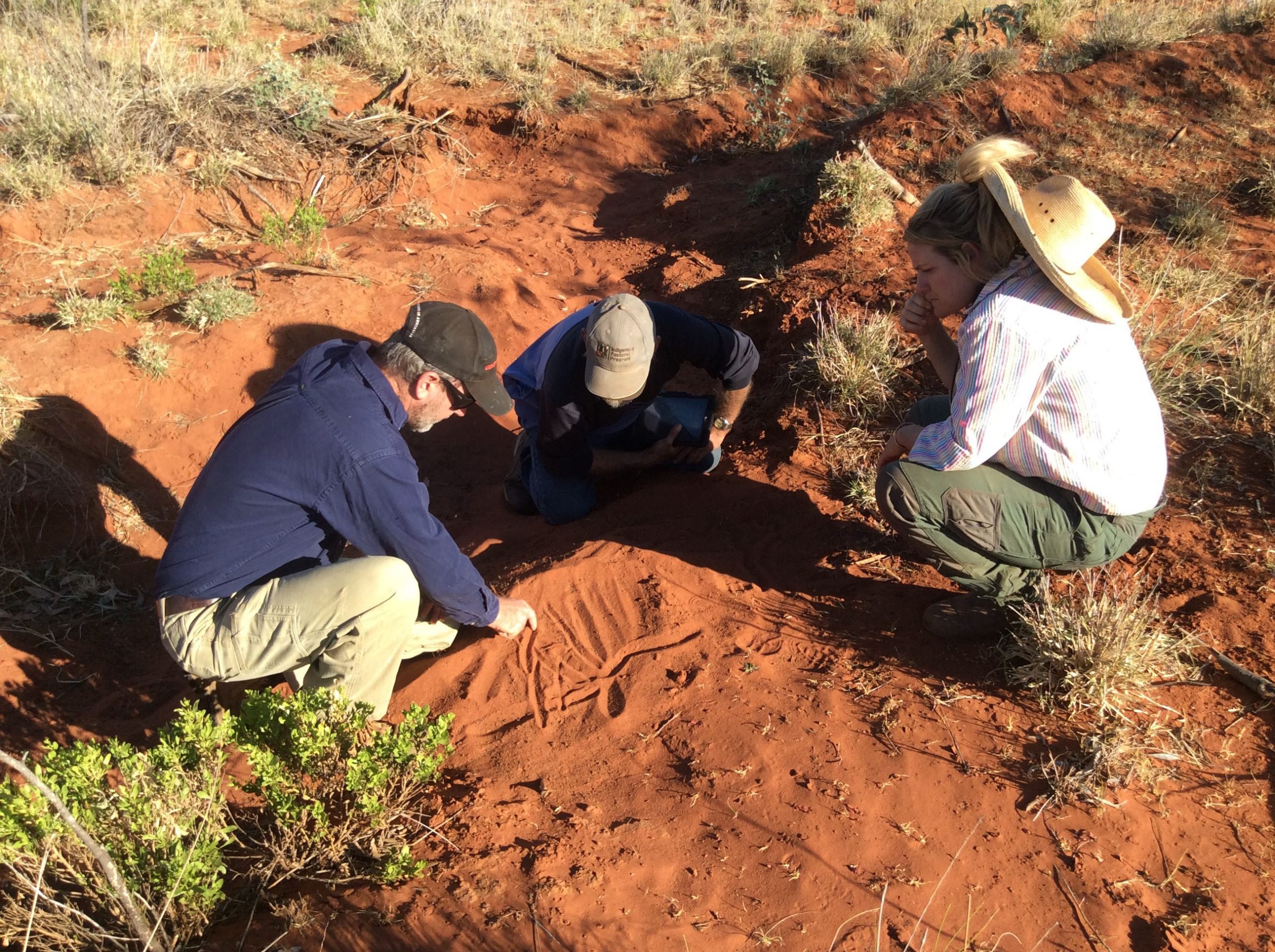 Rehydration Team undertaking critical site planning, Yarrie Station