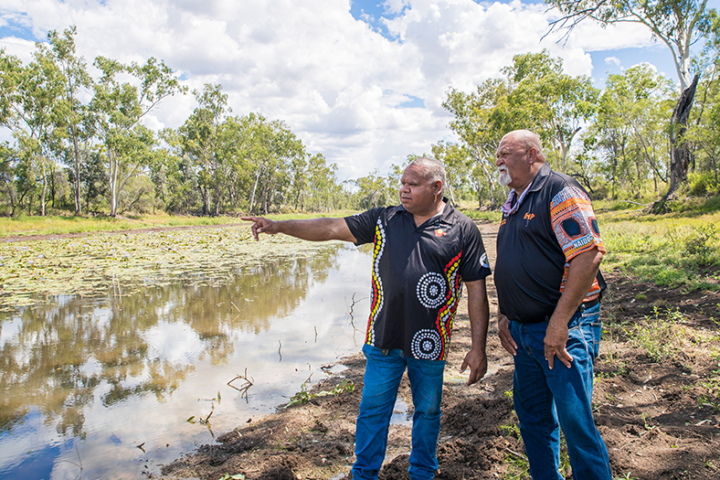 Barada Barna 790x525 - Greening Australia - Greening Australia