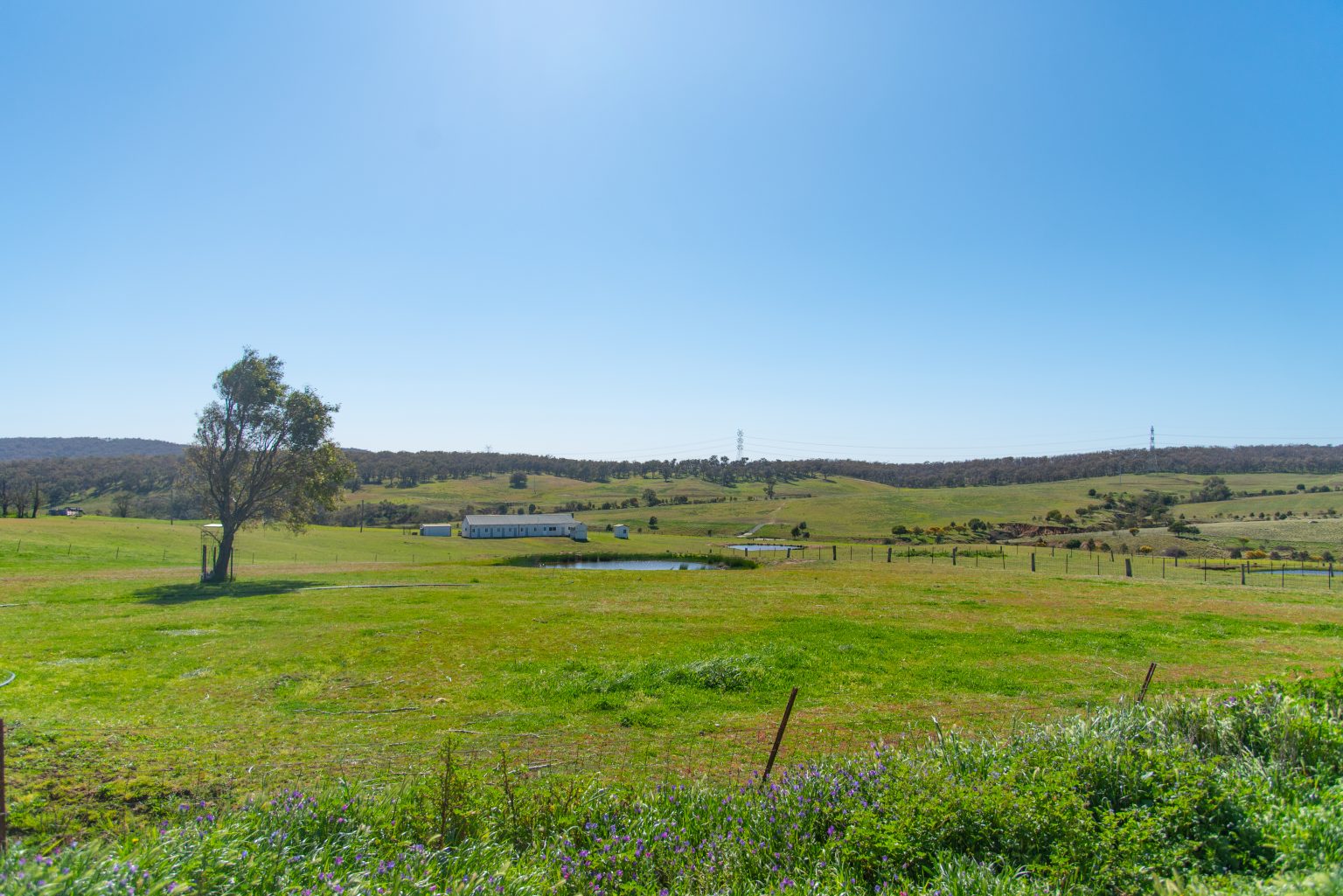 Greening Australia to deliver one of Australia's largestever
