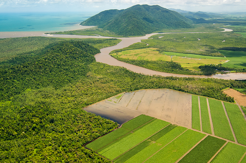 A turbid river plume can be seen emerging from the Russell-Mulgrave river mouth following several days of heavy rainfall.