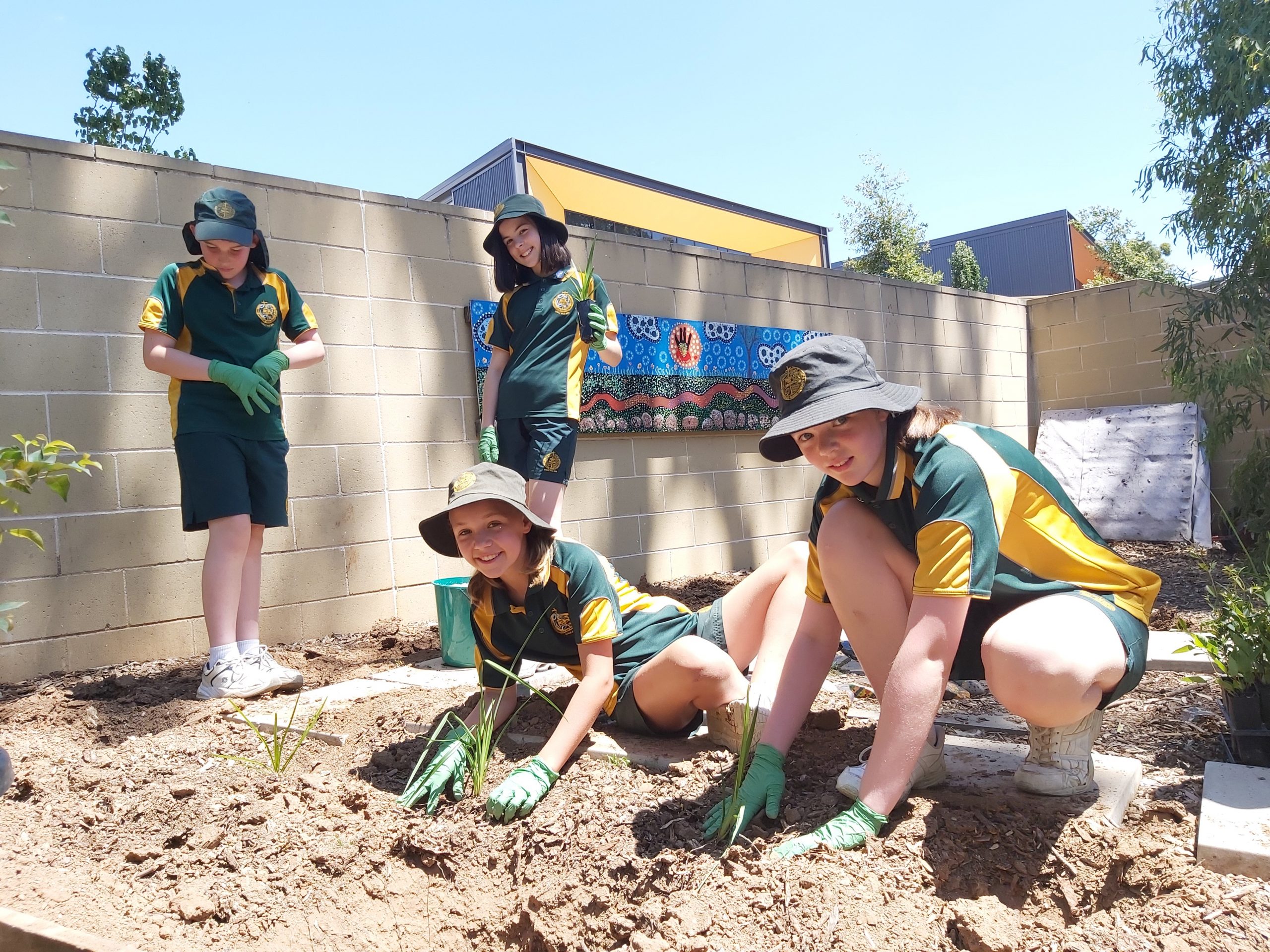 Students planting at Mary Immaculate School in Western Sydney
