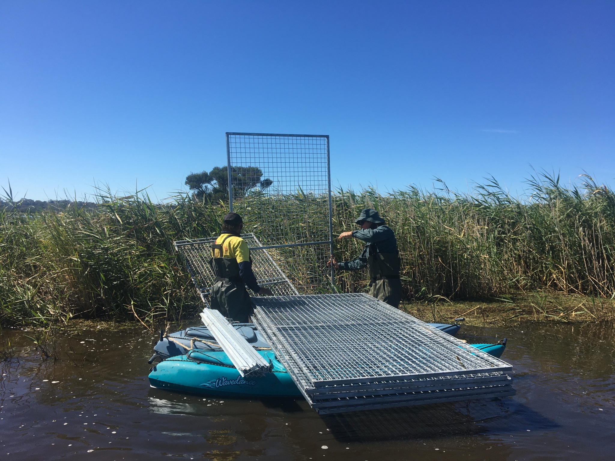 Constructing the carp exclusion plots