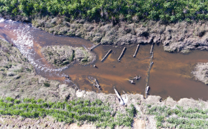 An image from above shows the logs installed within the stream.