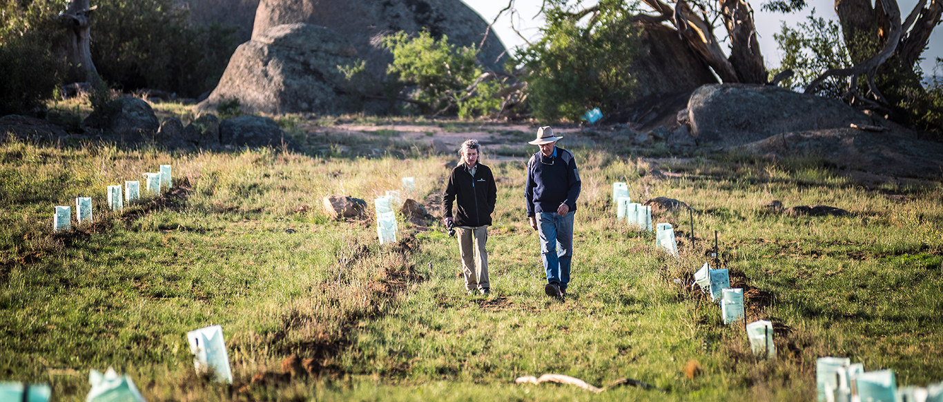 A female Greening Australia staff member in a dark blue jumper and jeans walks alongside a male landholder wearing a similar outfit and a grey wide-brimmed hat. Both are in the distance walking through a recently seeded field.