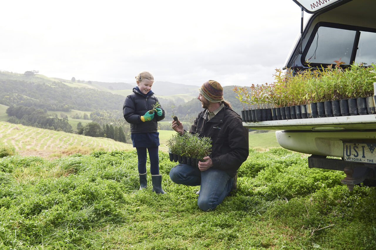 A Greening Australia staff member (a man with a red beanie, large brown jacket and jeans) kneels down on luscious green grass to hand a child (a little girl with a thick hoodie and gum boots on) a seedling from the tray he is holding. Credit Tobias Rowles.