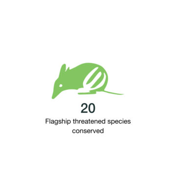 20 flagship threatened species conserved.