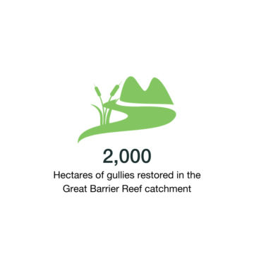 2,000 hectares of gullies restored in the Great Barrier Reef catchment.