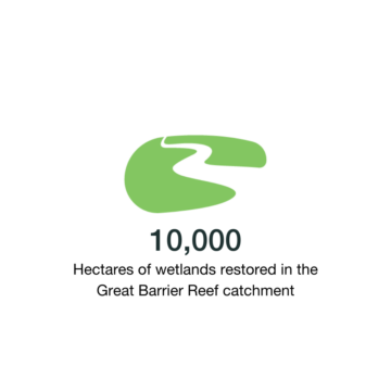 10,000 hectares of wetlands restored in the Great Barrier Reef catchment.