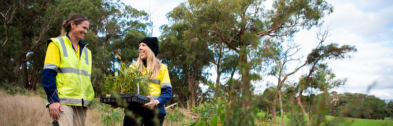 Two Greening Australia staff members on site in the Otways, Victoria. The first staff member is female with brown hair, with a bright yellow/green high vis vest. She is smiling, looking down at the second staff member, who is also female, wearing a smilar high vis vest, with blonde hair and a navy blue beanie. The second staff member is also holding a tray of seedlings. Credit Annette Ruzicka.