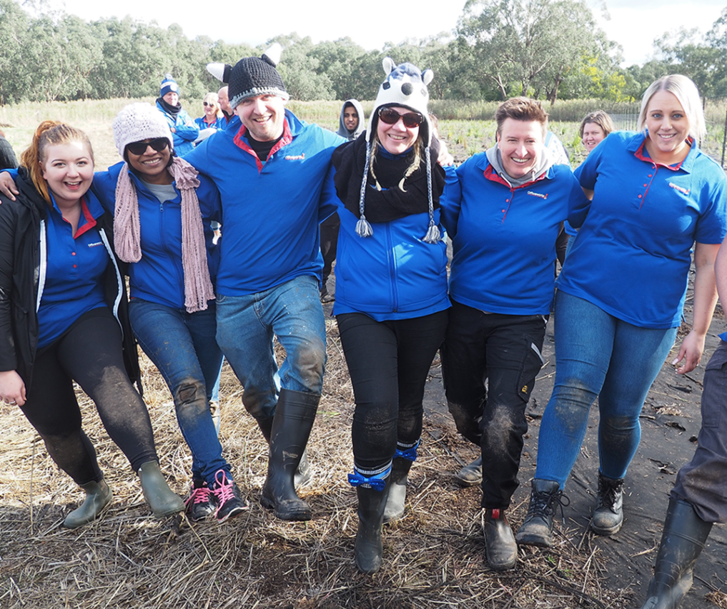 Six Officeworks staff members, all in either a blue polo shirt with red collar or blue puffer jacket, stand arm in arm at a community planting day.