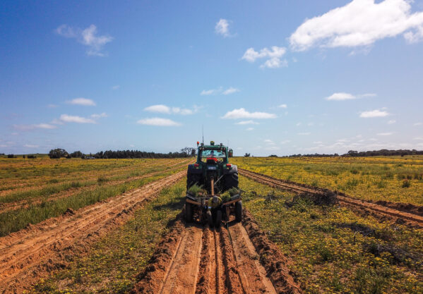 A large green tractor, towing a machine seeding machine, ploughs a field of green grass, leaving behind streaks of orange/brown dirt wherein seeds are planted. It is a clear day with blue sky and a few clouds dispersed through the skyline.