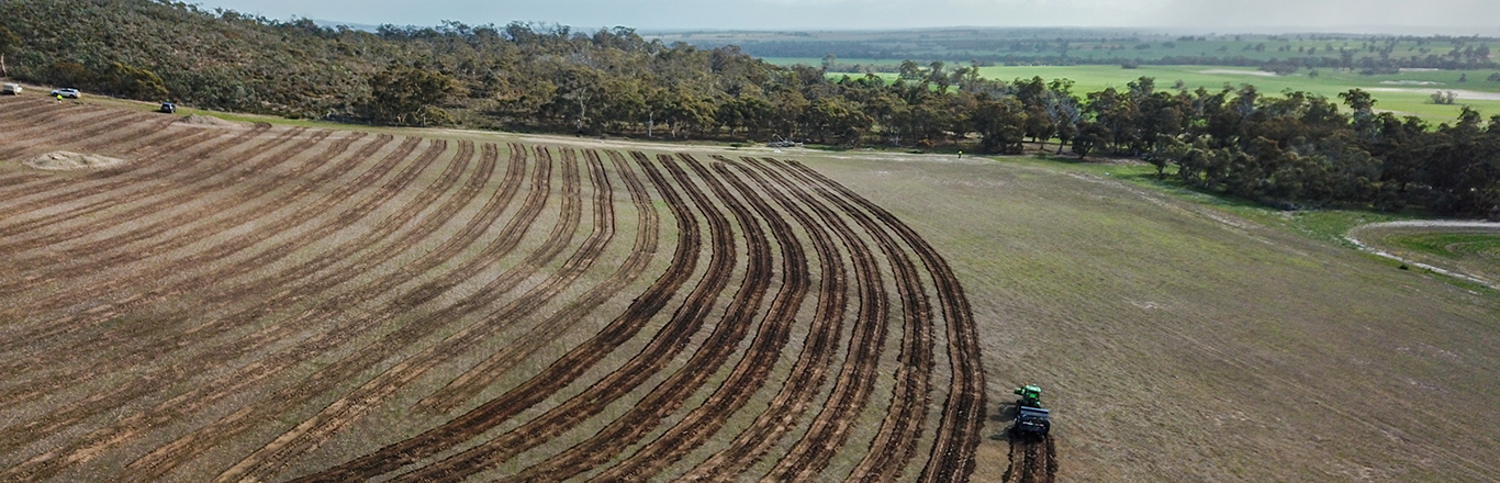 Long, machine seeded lines of planted soil stretch across Sukey; an aerial shot with a tractor and machine seeder continuing a semi-circular seeding pattern as part of the Great Southern Landscapes program.